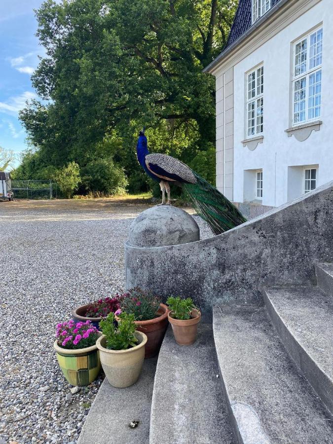 Rosenlund Gods - Kaelder B&B Sakskøbing Exterior foto
